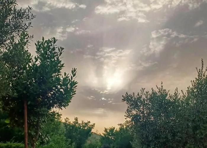 Tatil Evi Il Poderino Di Civitavecchia