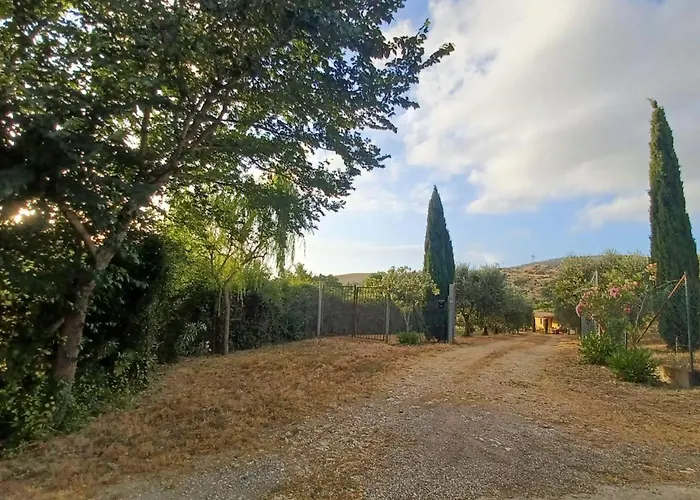 Il Poderino Di * Civitavecchia